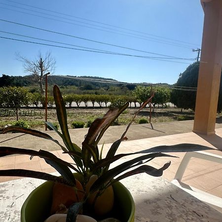 Garden View Appartment Καλαβάρδα Εξωτερικό φωτογραφία