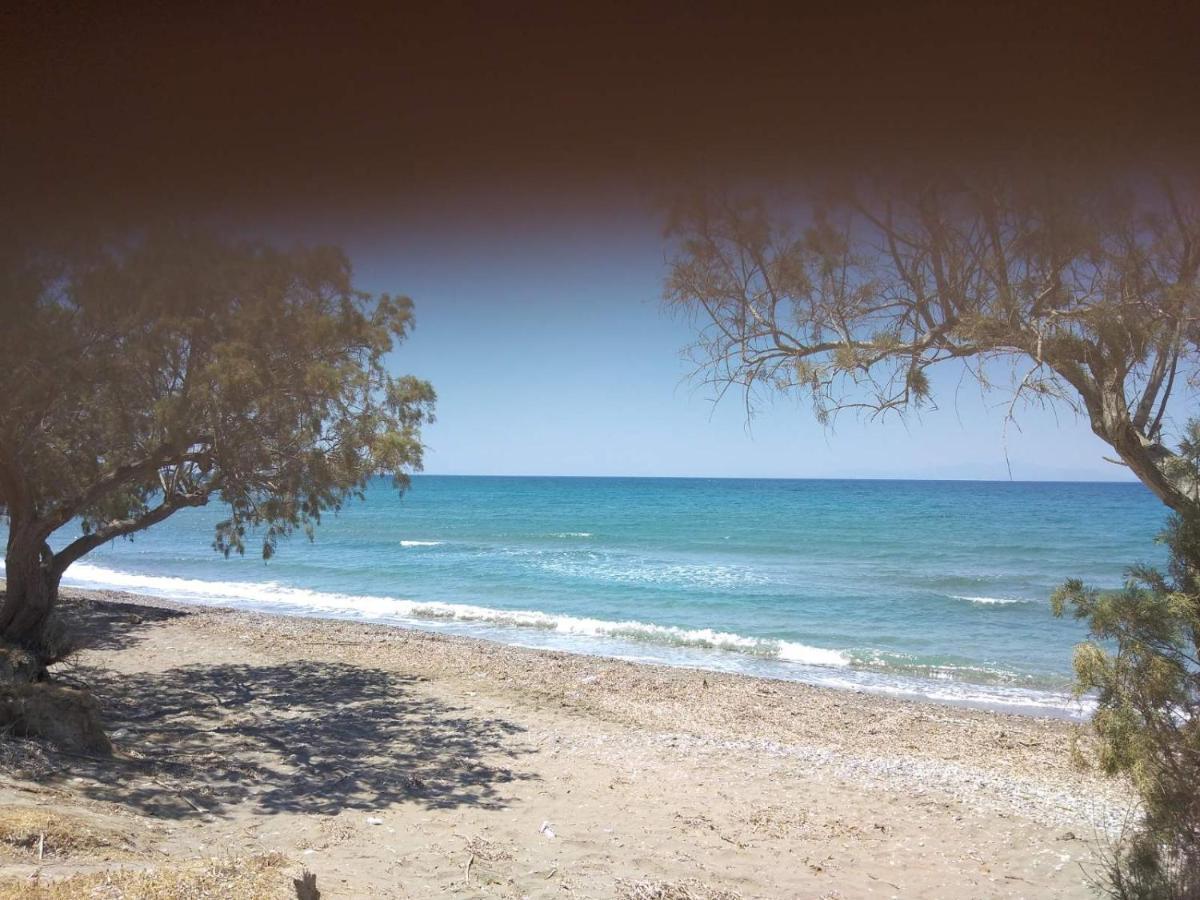 Garden View Appartment Καλαβάρδα Εξωτερικό φωτογραφία