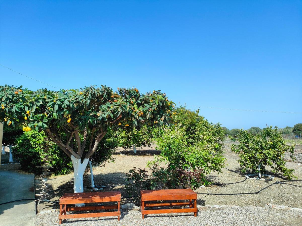 Garden View Appartment Καλαβάρδα Εξωτερικό φωτογραφία