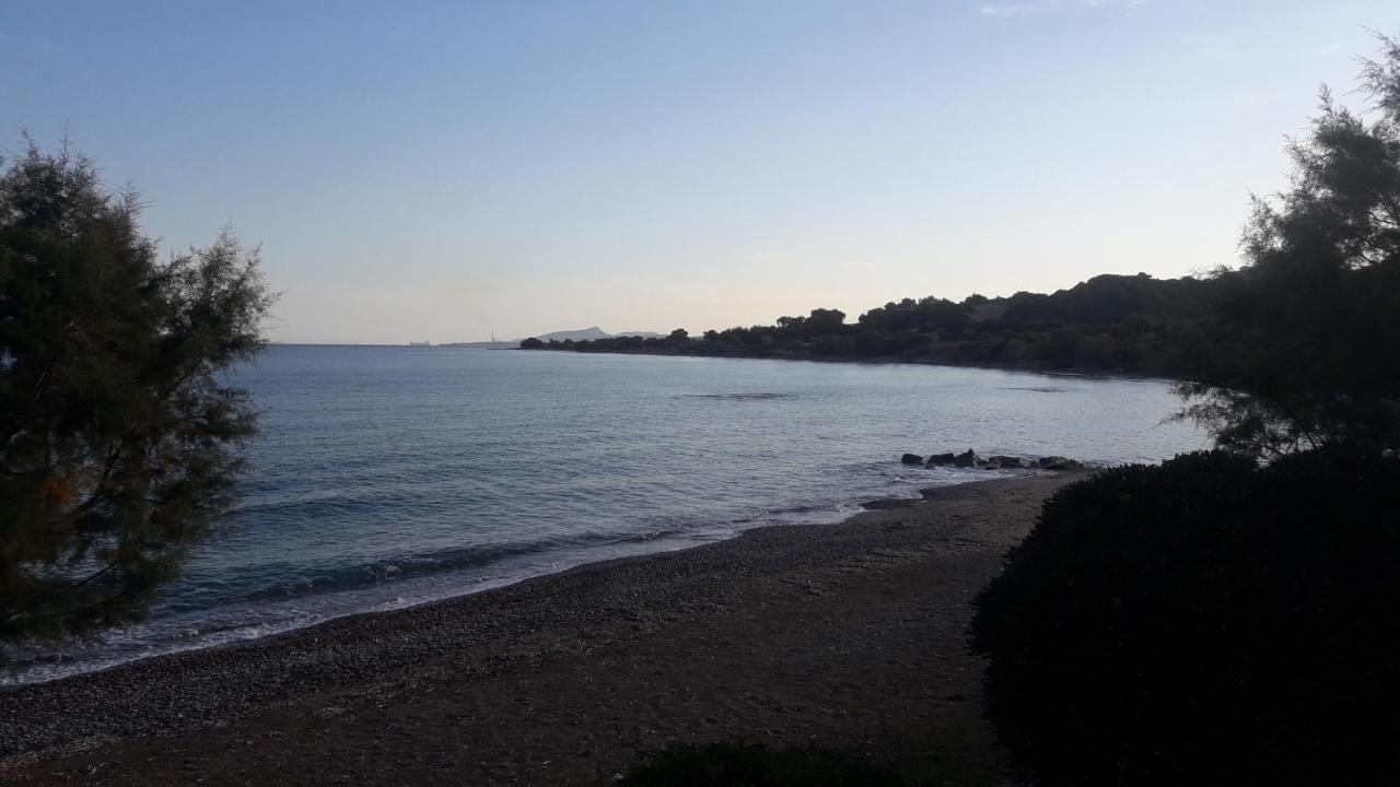 Garden View Appartment Καλαβάρδα Εξωτερικό φωτογραφία
