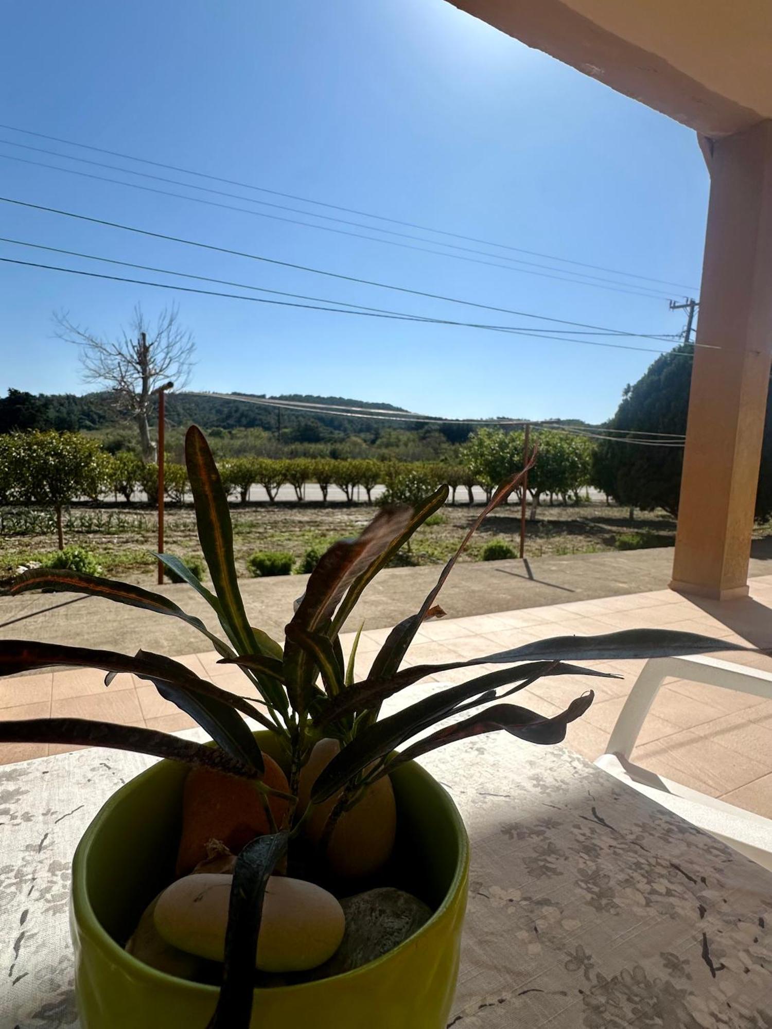 Garden View Appartment Καλαβάρδα Εξωτερικό φωτογραφία